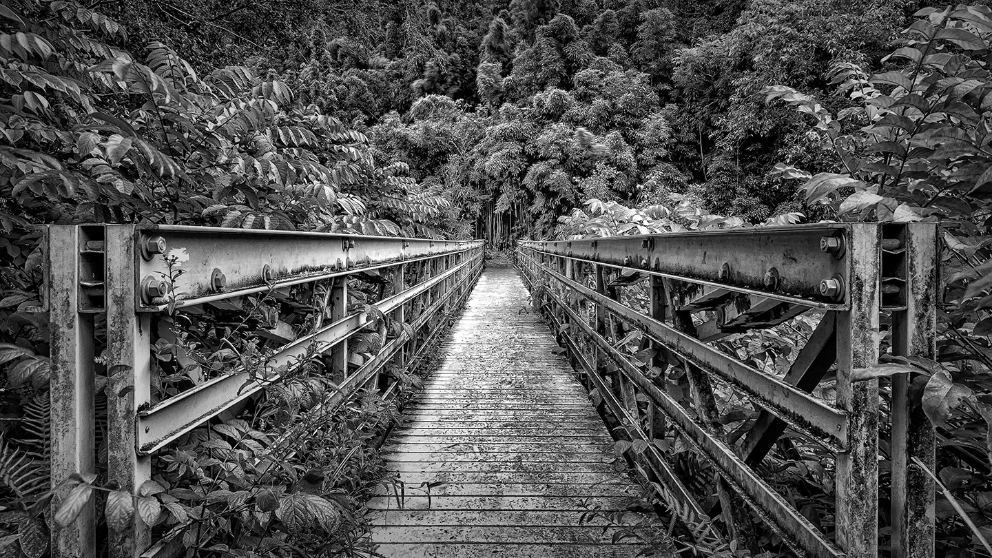 Bridge to Bamboo